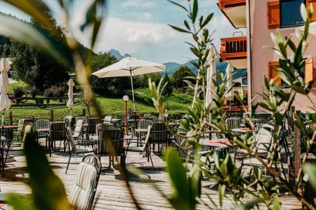 Vitalhotel Gosau - 25