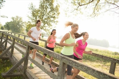 Puchasplus (Stegersbach) - 5