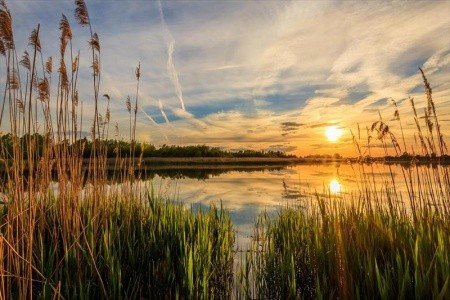 Puchasplus (Stegersbach) - 24