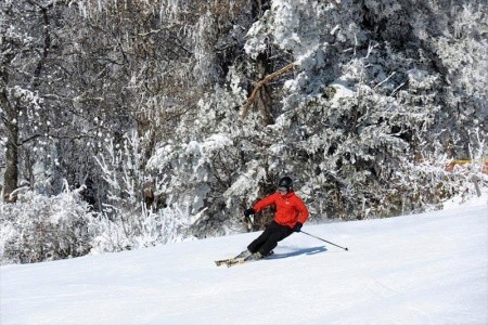 Joglland (Wenigzell) - 36