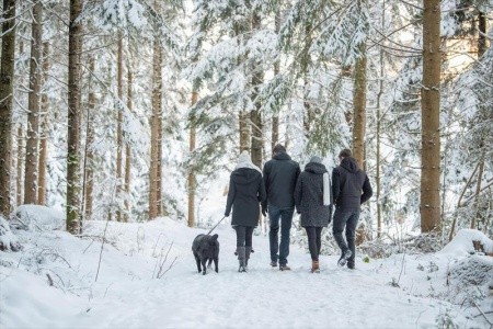 Joglland (Wenigzell) - 37