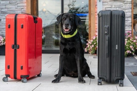 Alpenwelt Resort Alpenrose - 67