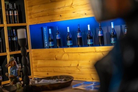 Alpenwelt Resort Alpenrose - 69