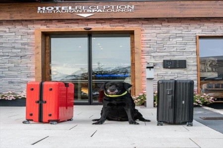 Alpenwelt Resort Alpenrose - 70