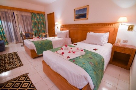 Mg Alexander The Great - 17