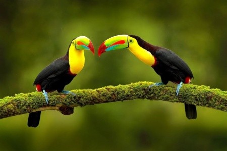 TO NEJLEPŠÍ Z PANAMY A KOSTARIKY - 11