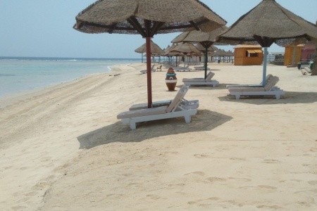 Mg Alexander The Great - 39