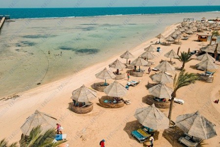 Mg Alexander The Great - 41