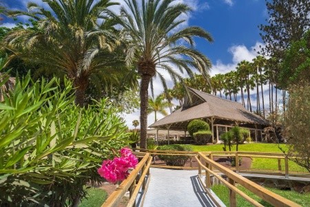 Barcelo Margaritas Royal Level - 3