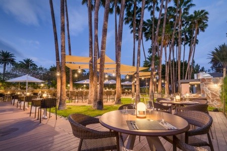 Barcelo Margaritas Royal Level - 17