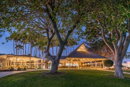 Barcelo Margaritas Royal Level - 18