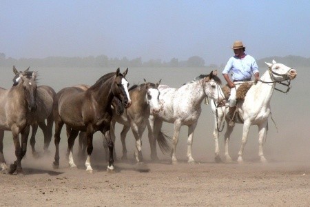 To nejlepší z Jižní Ameriky - 35