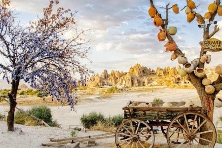 Hledání ztracené archy - 5