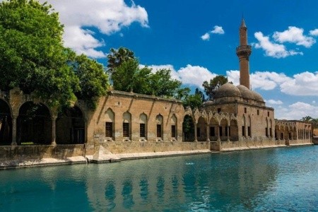 Hledání ztracené archy - 9