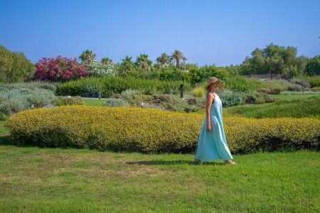 Neptune Resort - 397