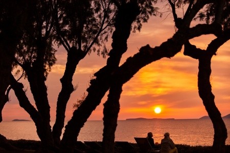 Neptune Resort - 398