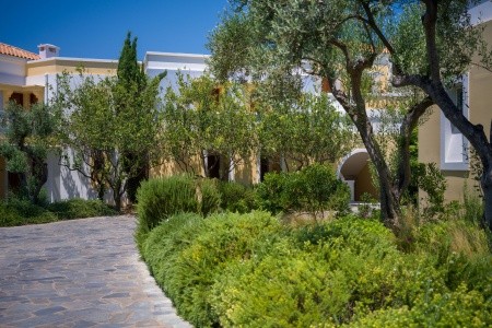 Neptune Resort - 406