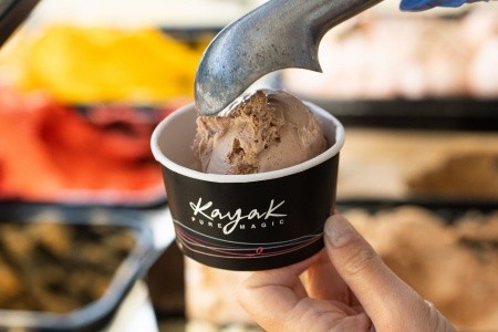 Neptune Resort - 442