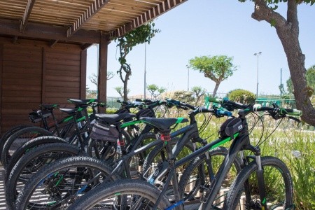 Neptune Resort - 480