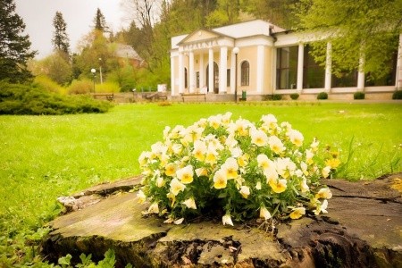 Poľsko Sudety Sanatorium Jan Kazimierz 5 dňový pobyt Raňajky Vlastná December 2026 ( 8/12/26-12/12/26)