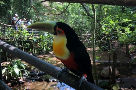 Rio de Janeiro, Costa Verde a vodopády Iguacu s českým průvodcem - 18
