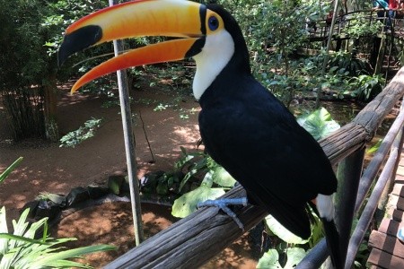 Rio de Janeiro, Costa Verde a vodopády Iguacu s českým průvodcem - 20