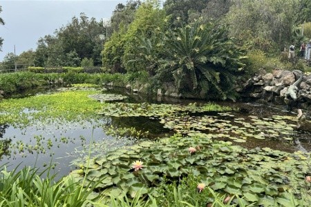 Ischie, Capri, Procida - 3 Sirény Neapolského zálivu - 9