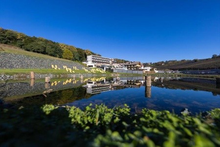 Wellness-Genusshotel Puchasplus Kukmirn - 28