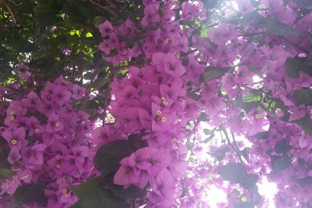 Apartmány 3298-1946 - 25