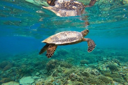 Od posvátných chrámů Bali po nedotčenou přírodu Lomboku - 17