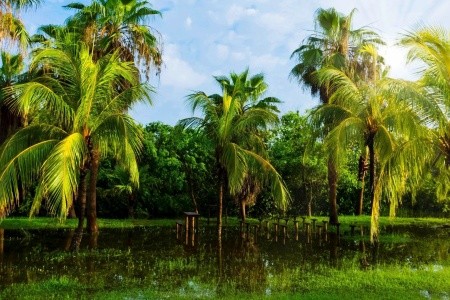 To nejlepší z Kuby s koupáním na Varaderu - 12