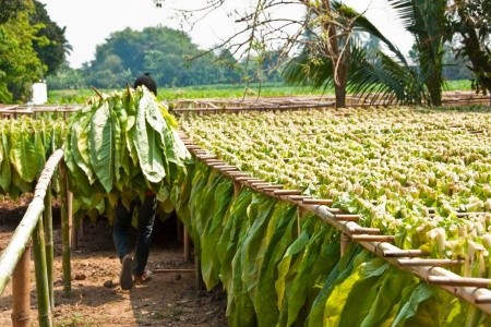To nejlepší z Kuby s koupáním na Varaderu - 15