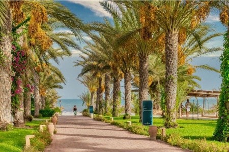 Club Hotel Palm Azur (Ex. Palm Azur) - 58