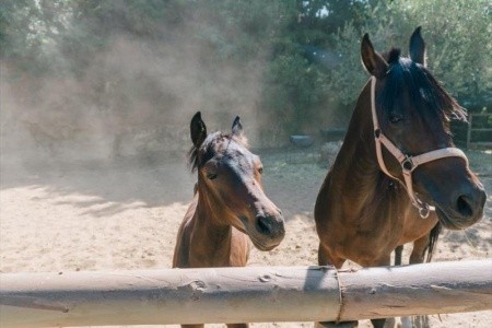 Leano Agriresort (Piazza Armerina) - 1