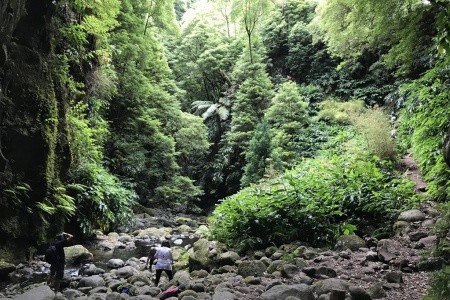Azorské ostrovy - Terceira, Sao Miguel a Santa Maria - turistický a poznávací okruh - 5