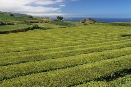 Azorské ostrovy - Terceira, Sao Miguel a Santa Maria - turistický a poznávací okruh - 22