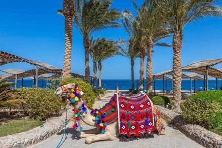 Sphinx Aqua Park Beach Resort - 19