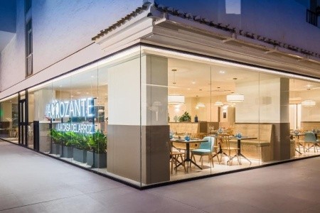 Occidental Puerto Banus - 14