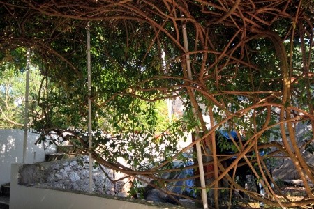 Apartmány 3298-158 - 23