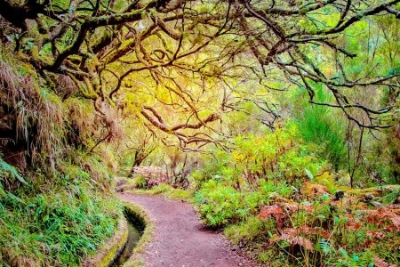 To nejlepší z Madeiry - 2