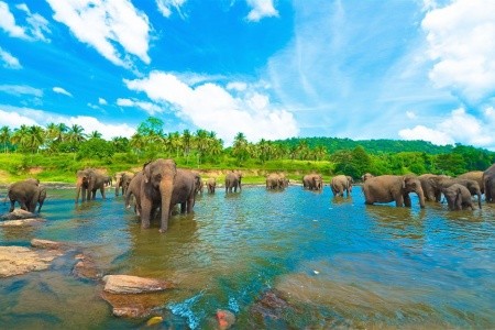 To nejlepší ze Srí Lanky - 3