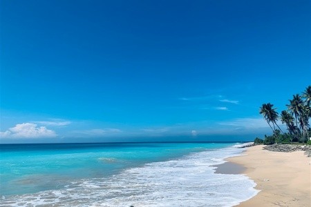 To nejlepší ze Srí Lanky - 8