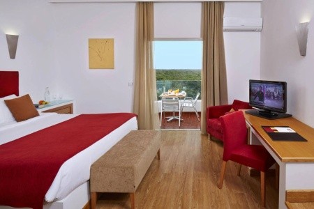 Alcazar Hotel & Spa - 7