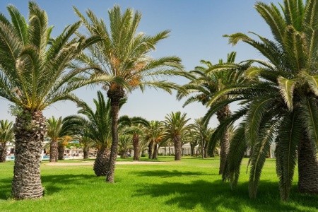 Iberostar Selection Mirage Hammamet (Ex. The Mirage Resort & Spa) - 23