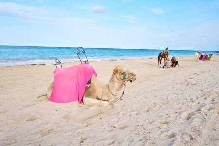 Welcome Meridiana Djerba - 43