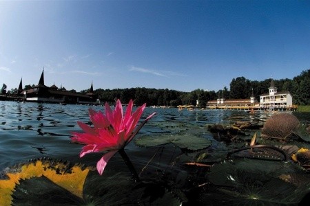 Naturmed Carbona - 22