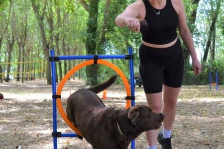 Camping Village Punta Navaccia (Tuoro Sul Trasimeno) - 22