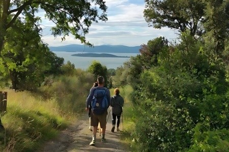 Camping Village Punta Navaccia (Tuoro Sul Trasimeno) - 29