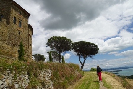 Camping Village Punta Navaccia (Tuoro Sul Trasimeno) - 30