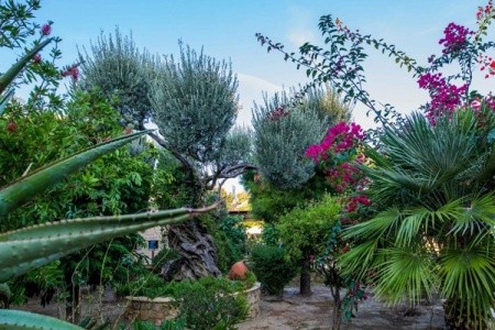 Crithoni's Paradise (Leros) - 15